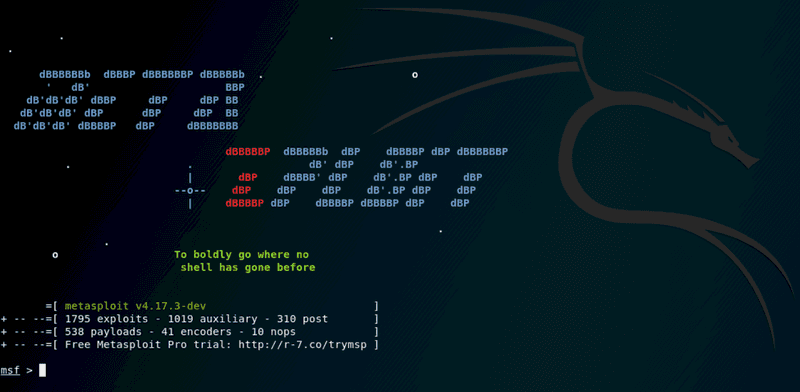 metasploit web app and web server pnetest tool